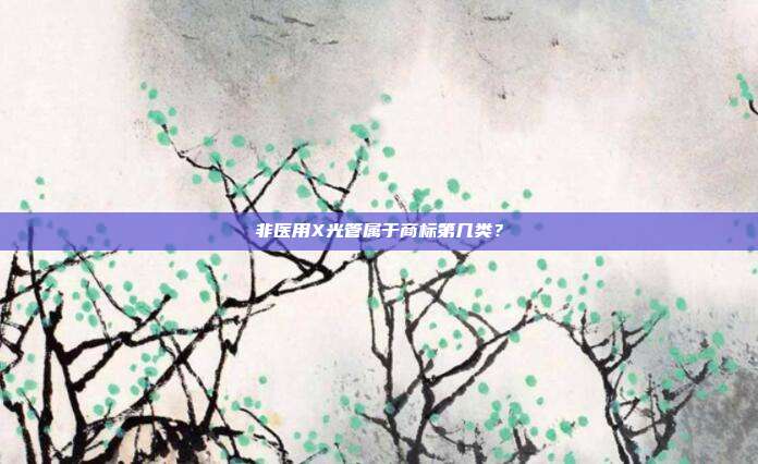 非医用X光管属于商标第几类?