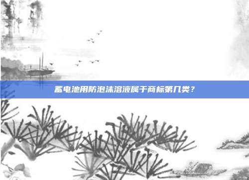 蓄电池用防泡沫溶液属于商标第几类?