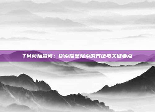 TM商标查询:探索信息检索的方法与关键要点