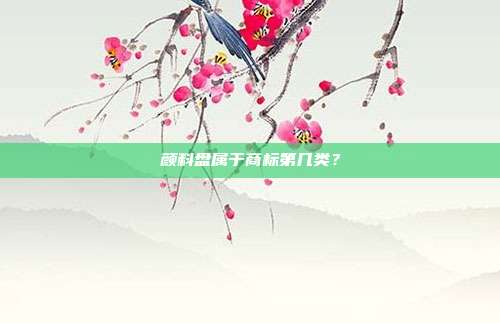 颜料盘属于商标第几类？