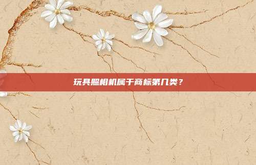 玩具照相机属于商标第几类?