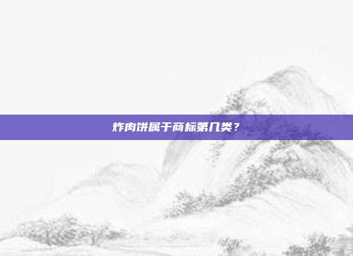 炸肉饼属于商标第几类？