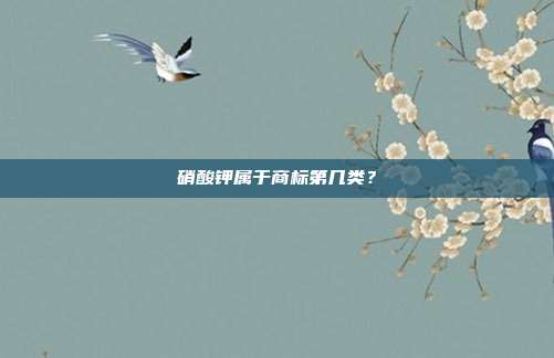 硝酸钾属于商标第几类？