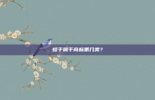 蛏干属于商标第几类？