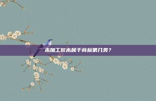 未加工软木属于商标第几类？