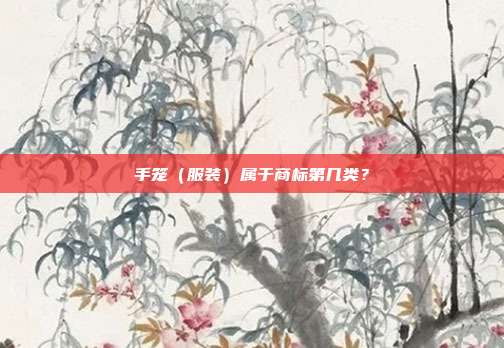 手笼(服装)属于商标第几类?