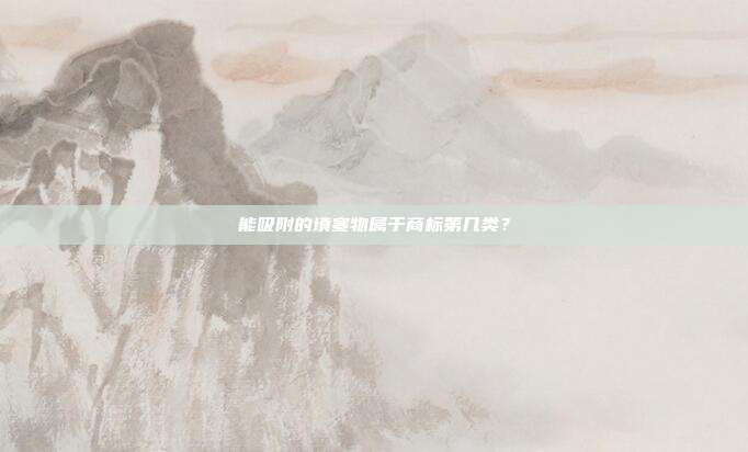 能吸附的填塞物属于商标第几类？