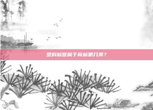 塑料标签属于商标第几类?