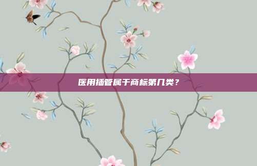 医用插管属于商标第几类？