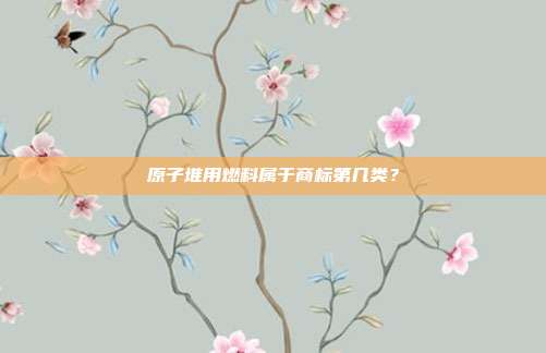原子堆用燃料属于商标第几类？