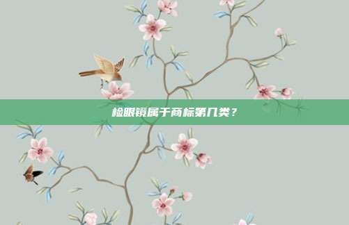 检眼镜属于商标第几类?