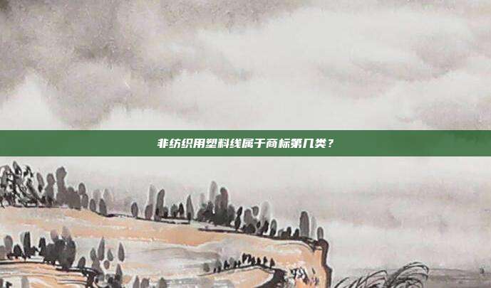 非纺织用塑料线属于商标第几类?
