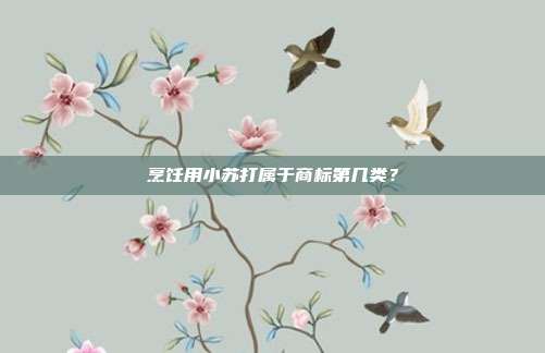 烹饪用小苏打属于商标第几类?