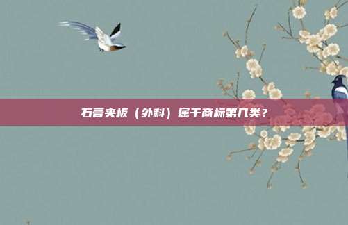 石膏夹板(外科)属于商标第几类?