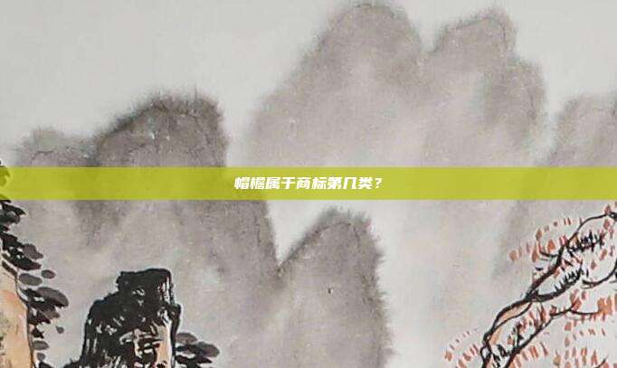 帽檐属于商标第几类?