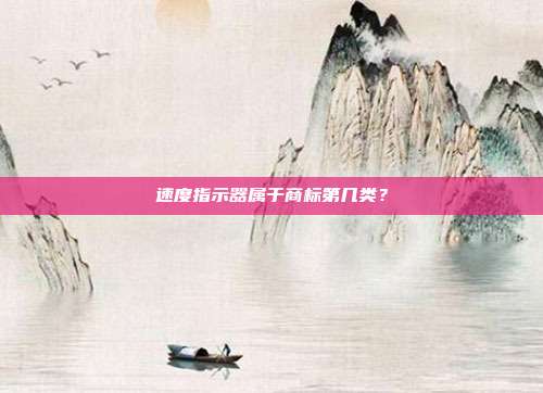 速度指示器属于商标第几类？