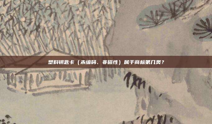 塑料钥匙卡(未编码、非磁性)属于商标第几类?