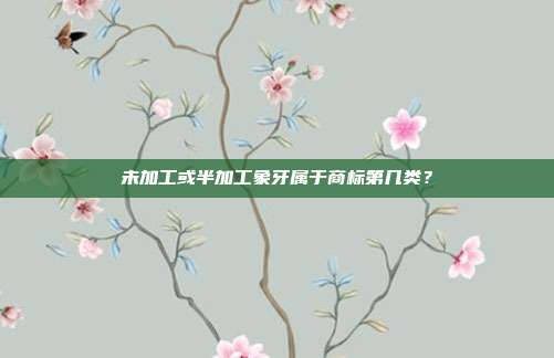 未加工或半加工象牙属于商标第几类？