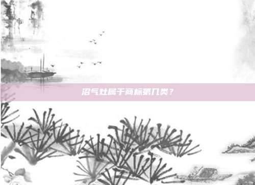 沼气灶属于商标第几类？