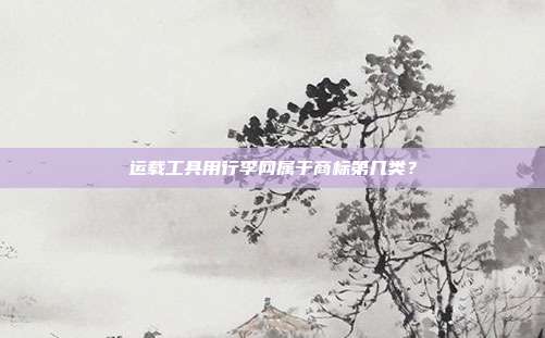 运载工具用行李网属于商标第几类？