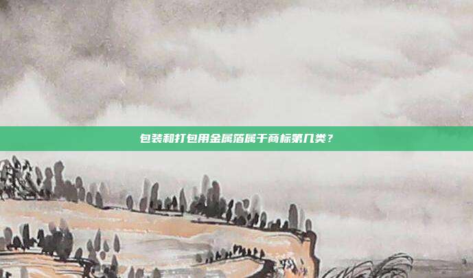 包装和打包用金属箔属于商标第几类？