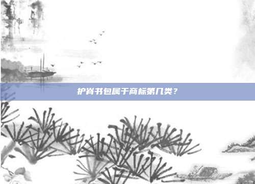 护脊书包属于商标第几类?