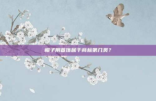帽子用首饰属于商标第几类?