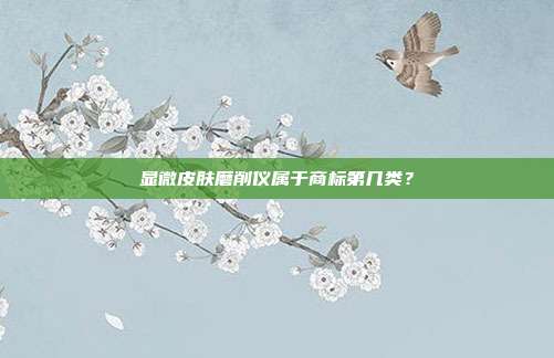 显微皮肤磨削仪属于商标第几类?