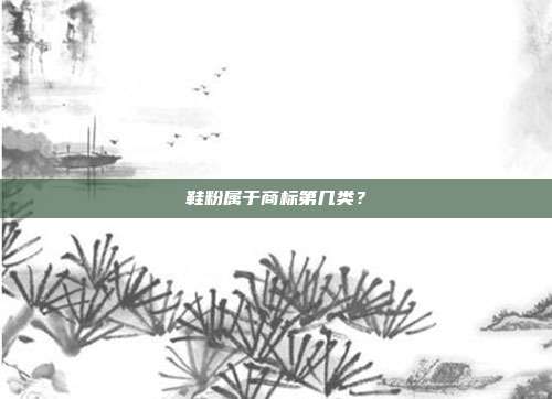 鞋粉属于商标第几类？