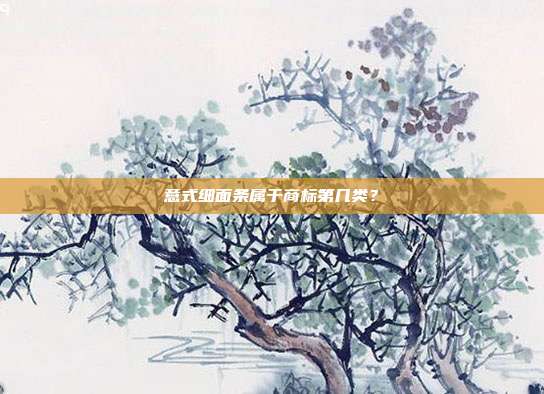 意式细面条属于商标第几类？