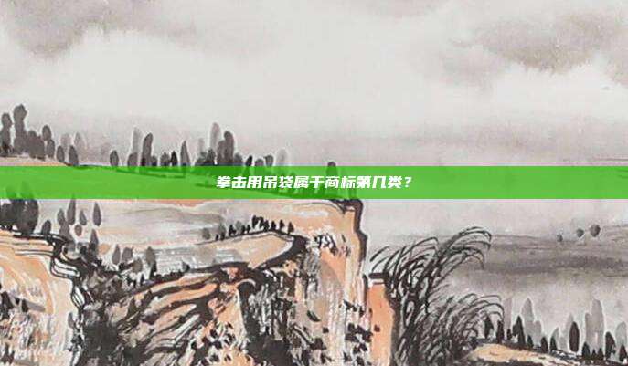 拳击用吊袋属于商标第几类?