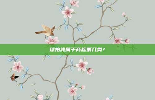 球拍线属于商标第几类?