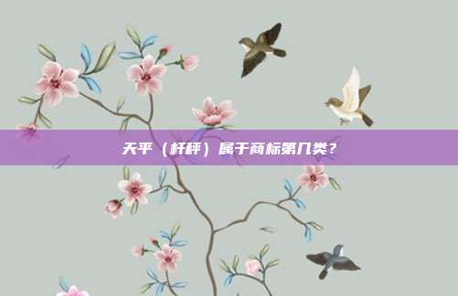 天平(杆秤)属于商标第几类?