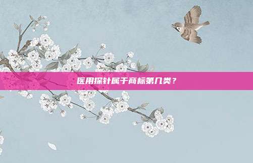 医用探针属于商标第几类?