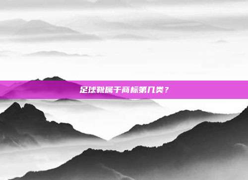 足球靴属于商标第几类?
