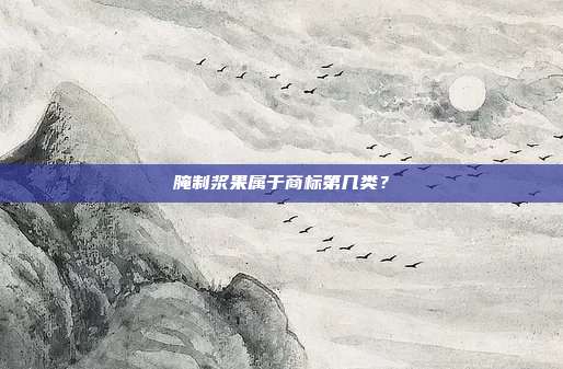 腌制浆果属于商标第几类？