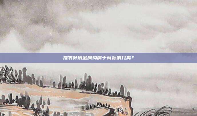 挂衣杆用金属钩属于商标第几类？