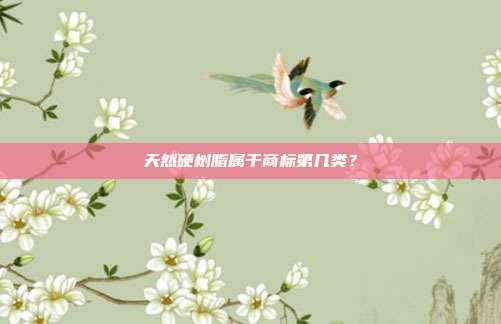 天然硬树脂属于商标第几类？