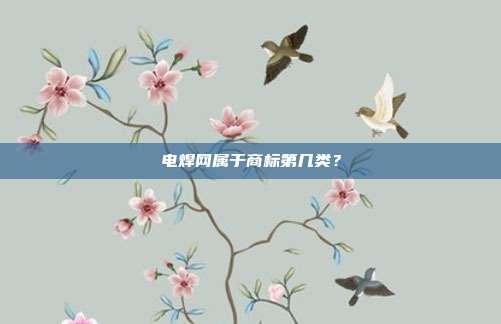 电焊网属于商标第几类？