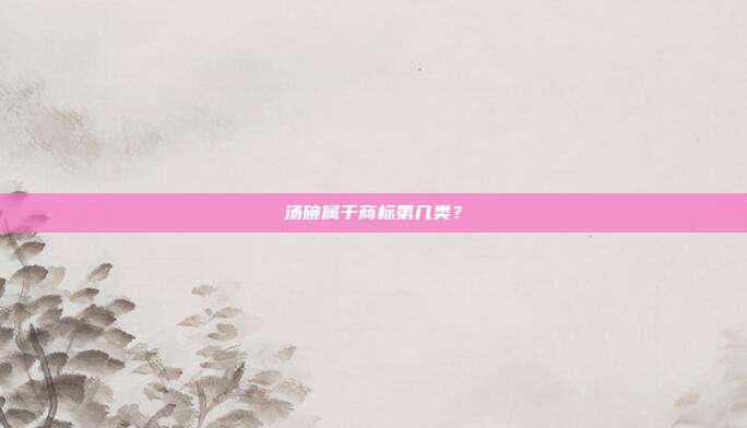 汤碗属于商标第几类?