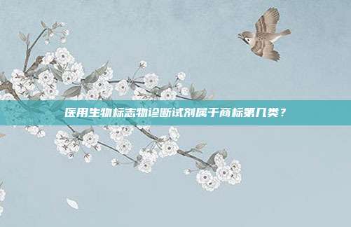 医用生物标志物诊断试剂属于商标第几类？