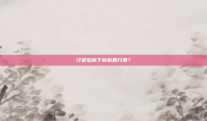 汗足皂属于商标第几类？