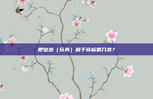 肥皂泡（玩具）属于商标第几类？