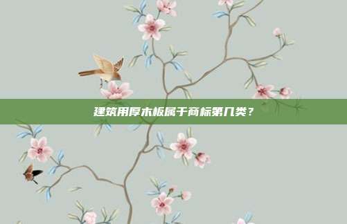 建筑用厚木板属于商标第几类？