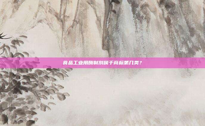 食品工业用酶制剂属于商标第几类？