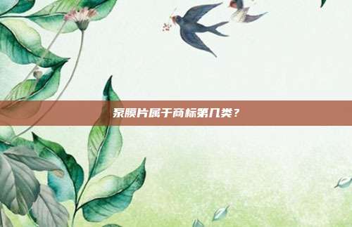 泵膜片属于商标第几类？
