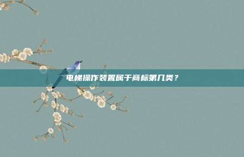 电梯操作装置属于商标第几类？