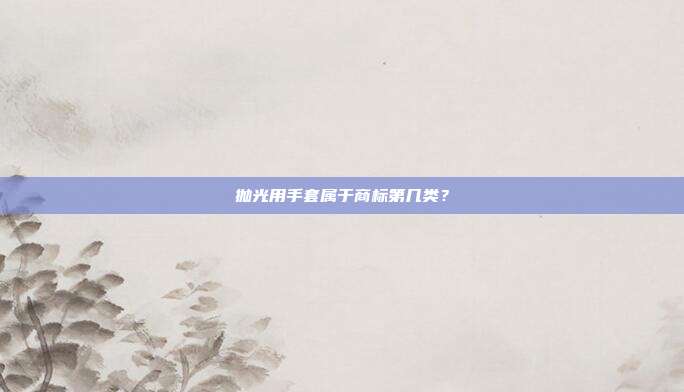 抛光用手套属于商标第几类？