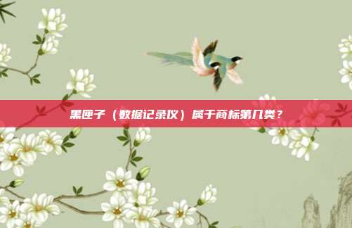 黑匣子（数据记录仪）属于商标第几类？