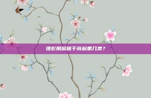 摄影用屏属于商标第几类？